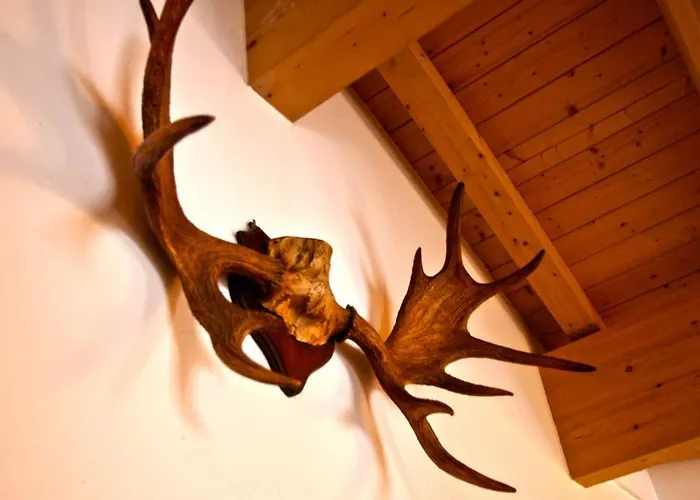 公寓 Seasons By In One